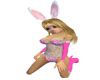playboy 2