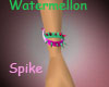 *MET Watermellon Spike L