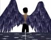 Black Dragon Wings Two