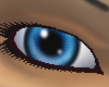Stare ~blue~