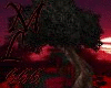 The Floating RED Rock
