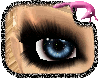 �SoftLook Lashes