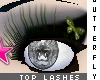 [V4NY] Lashbutterfly Gr