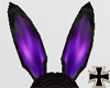 [RC] Purplebunnyears