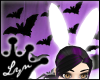 zz_ White Bunny Ears