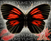 Raven Fire Butterfly