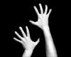 Hands