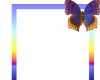 Butterfly Frame Bundle