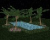 bios~nightwater