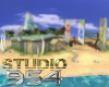 S954 Lost Beach
