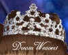 Pearls & Silver Tiara