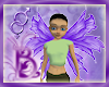 Bou Pwerple Wings
