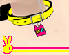.R. Fruit Happy Collar