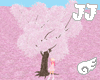 Sweetest Sakura Tree