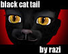 Black Cat Tail