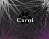 Paw Prints Animated