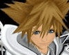 sora final form