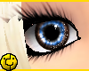 Blue Brown Mix Eyes