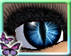 (&ETH;) Sparkle Top Lashes