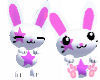 Starry the Bunny