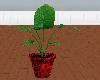 [M] LOVE plant