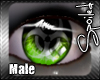 +SS+ BioGlare Toxic