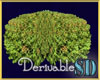 Secret Garden Small Bush