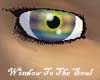 Pride Of Sunrise Eyes