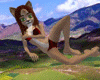 [KG]Mountain Lion Bundle