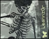 Skeleton