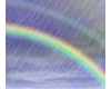 Rain and Rainbow(ani)