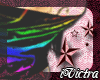 |V� Black/Rainbow Corset