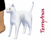 Beautiful White Cat