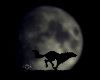 Run with the Moon