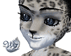 Snow Leopard Bundle F