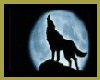 howling wolf backdrop