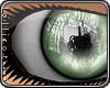 *L� iMirror Moss