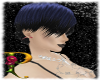 ~P~Homina black/blue