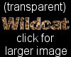 Wildcat