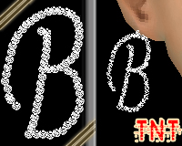 Diamond B Earrings