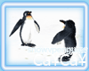 CaYzCaYz SnowyPenguins
