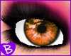 ~BZ~ Dreamy Peach Eyes