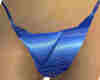 Blue Bikini Bottom