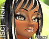 [SC] Nami- Jet Van