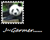 Panda_Real_1