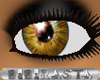 BBR Ambar eye