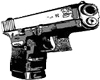 Gun
