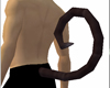 Black velvet tail