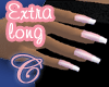Long Nails French Polish