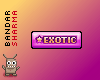 (BS) EXOTIC Sticker